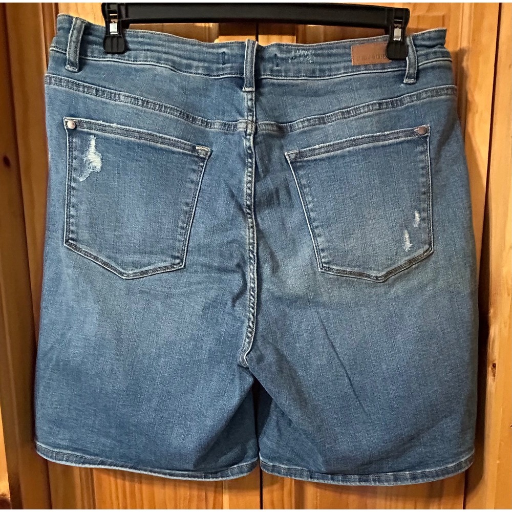 Judy Blue Dandelion Embroidered Distressed Bermuda Shorts Women's Sz 2X
Denim - Picture 3 of 6
